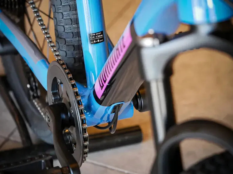 Dominate kids aro 20 4