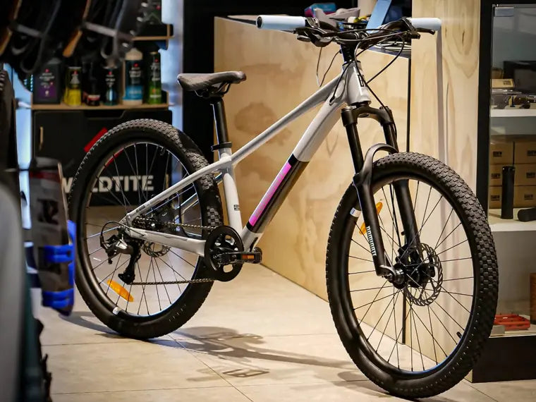 Dominate kids aro 24 2