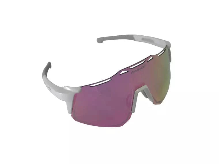 Gafa Enlee E300 Powder