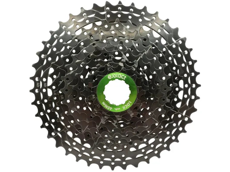 Piñon 11V Exxact 11-42T Cs-G610 Black Series