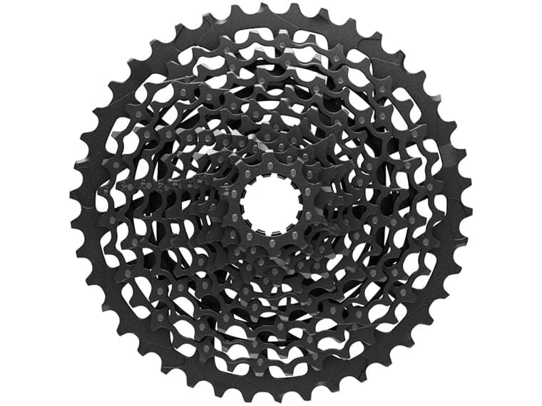 Piñon Sram 11V 10-42T Xd
