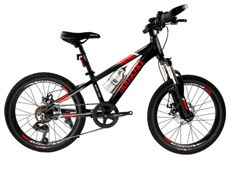 Bicicleta Buccano Aro 20