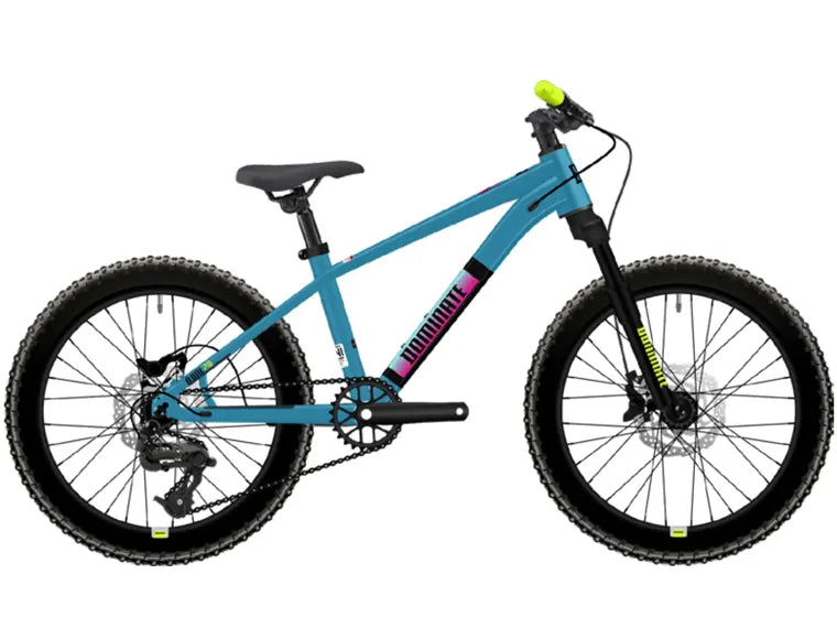 Dominate kids aro 20