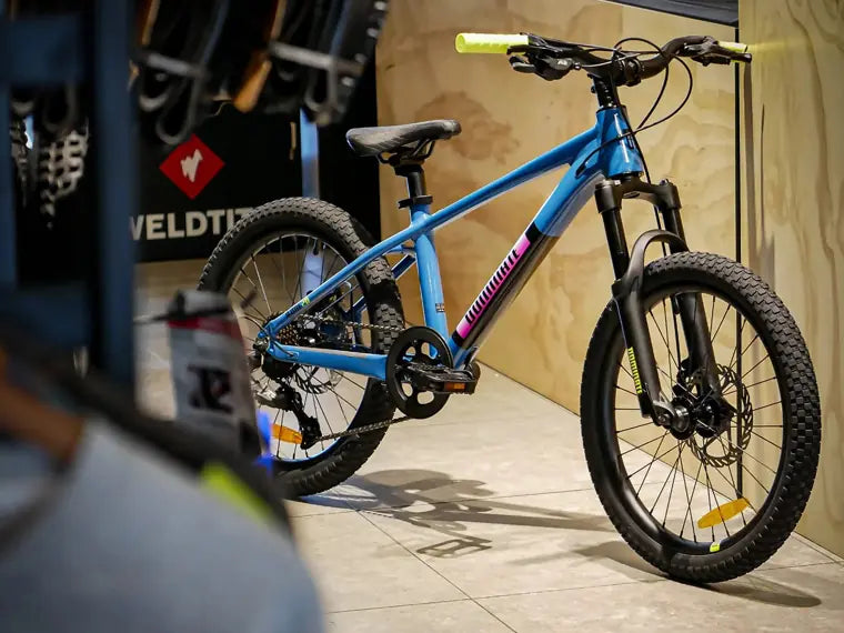 Dominate kids aro 20 2