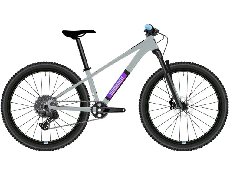 Dominate kids aro 24