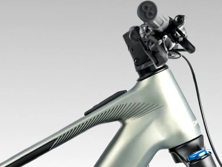 Orbea Wild 3