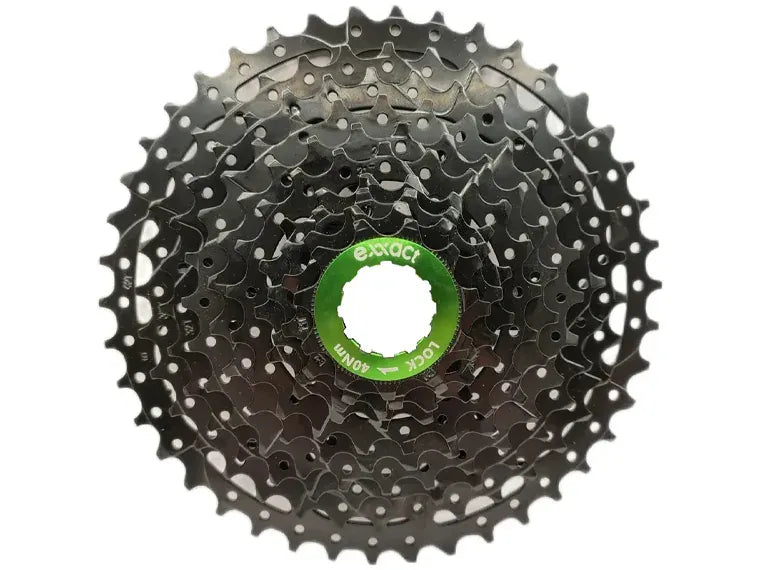 Piñon 10V Exxact 11-42T Cs-G550 Black Series