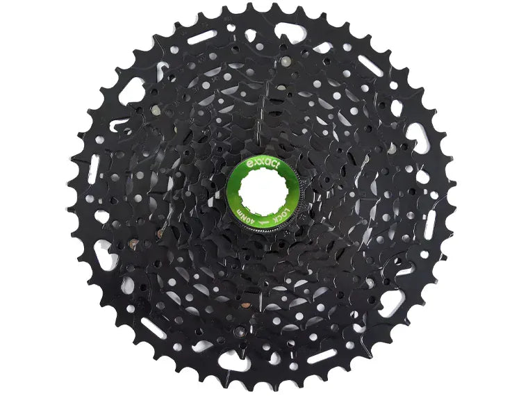 Piñon 10V Exxact 11-46T Cs-G560 Black Series