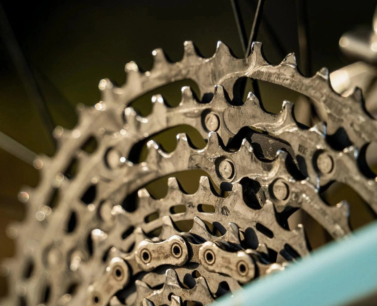 Piñon Shimano XTR